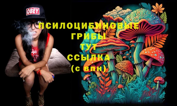 прущие грибы Няндома