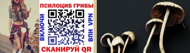 Галлюциногенные грибы мухоморы  mega зеркало  Михайловск 
